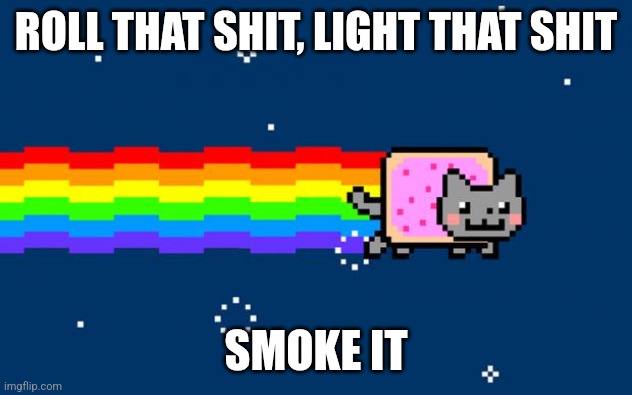 Nyan Cat | ROLL THAT SHIT, LIGHT THAT SHIT; SMOKE IT | image tagged in nyan cat | made w/ Imgflip meme maker