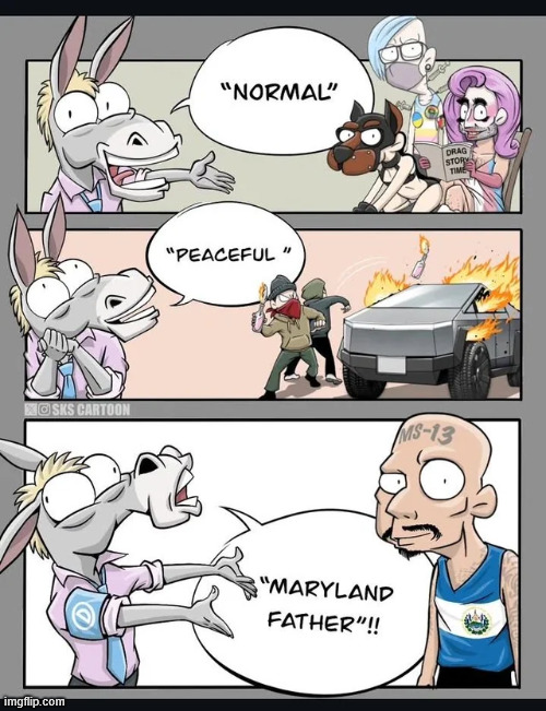 What democrats stand for when they're not grifting | image tagged in democrats,hate america | made w/ Imgflip meme maker