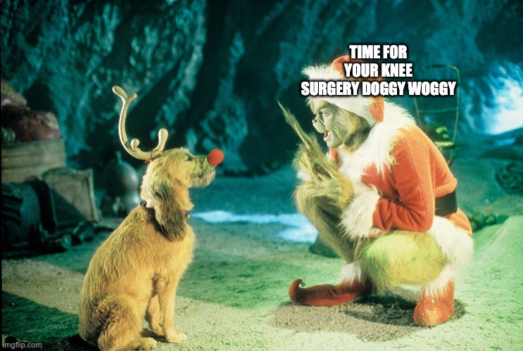 we do a bit of trolling again | TIME FOR YOUR KNEE SURGERY DOGGY WOGGY | image tagged in grinch and dog | made w/ Imgflip meme maker