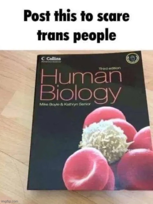 . | made w/ Imgflip meme maker