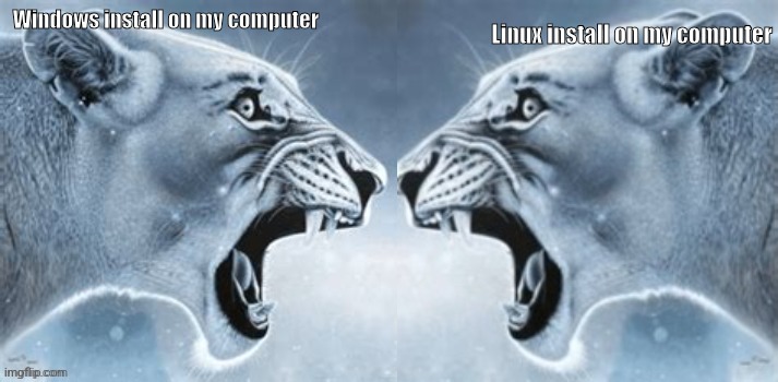 Them bihs FIGHTING ME to load | Linux install on my computer; Windows install on my computer | image tagged in two jaguars | made w/ Imgflip meme maker
