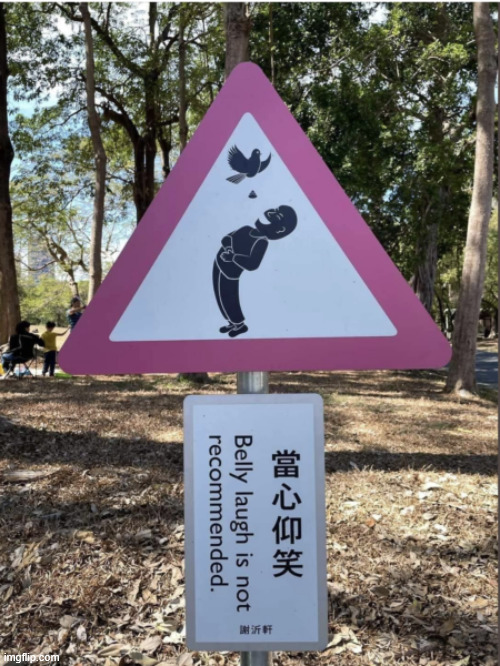 Belly laughing is discouraged | image tagged in eyeroll,belly  laughing,not recommended | made w/ Imgflip meme maker