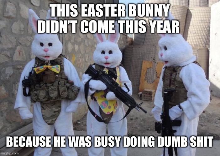 Bunny Soldiers Easter | THIS EASTER BUNNY DIDN’T COME THIS YEAR; BECAUSE HE WAS BUSY DOING DUMB SHIT | image tagged in bunny soldiers easter | made w/ Imgflip meme maker