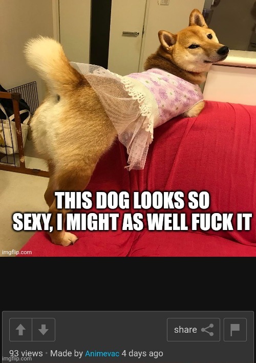 a Proof of Animevac being a fugging (z-wodr) | image tagged in a proof of animevac being a fugging z-wodr | made w/ Imgflip meme maker