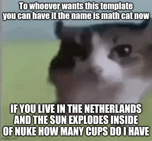 MATH CAT | To whoever wants this template you can have it the name is math cat now; IF YOU LIVE IN THE NETHERLANDS AND THE SUN EXPLODES INSIDE OF NUKE HOW MANY CUPS DO I HAVE | image tagged in math cat | made w/ Imgflip meme maker