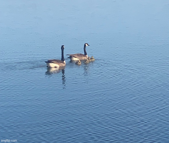 Le bébé | made w/ Imgflip meme maker