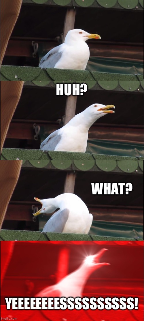 Inhaling Seagull | HUH? WHAT? YEEEEEEEESSSSSSSSSS! | image tagged in memes,inhaling seagull | made w/ Imgflip meme maker