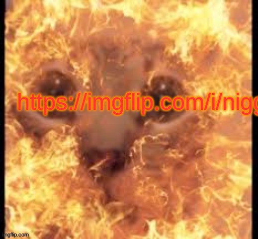 mods its a real link trust | https://imgflip.com/i/nigg | image tagged in help im burning | made w/ Imgflip meme maker