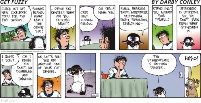 image tagged in comics,get fuzzy,cat,dog,eleven senses | made w/ Imgflip meme maker