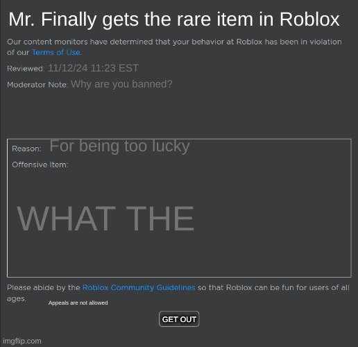 Banned | Mr. Finally gets the rare item in Roblox; 11/12/24 11:23 EST; Why are you banned? For being too lucky; WHAT THE; Appeals are not allowed; GET OUT | image tagged in roblox ban | made w/ Imgflip meme maker