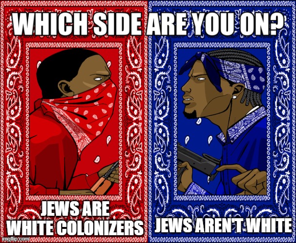 Neither | JEWS ARE WHITE COLONIZERS; JEWS AREN'T WHITE | image tagged in which side are you on,jews,israel,palestine,politics | made w/ Imgflip meme maker