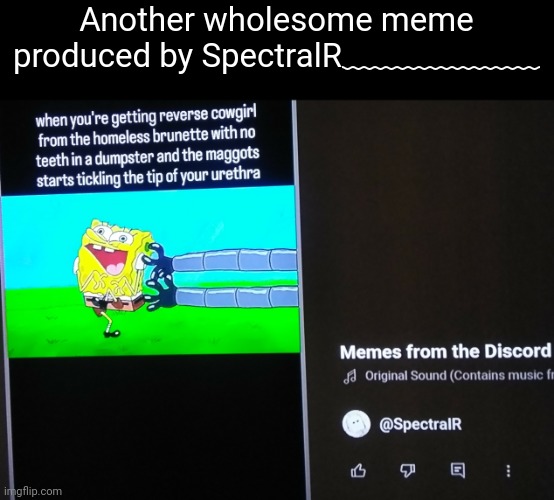 Another wholesome meme produced by SpectralR﹏﹏﹏﹏﹏﹏ | made w/ Imgflip meme maker