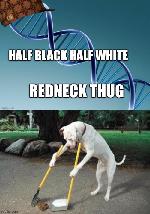 the gene pool just caught on fire | image tagged in dog poop,funny,scumbag dna | made w/ Imgflip meme maker
