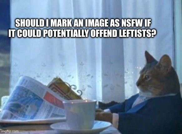 Click at your own risk | SHOULD I MARK AN IMAGE AS NSFW IF IT COULD POTENTIALLY OFFEND LEFTISTS? | image tagged in memes,i should buy a boat cat,fjb | made w/ Imgflip meme maker