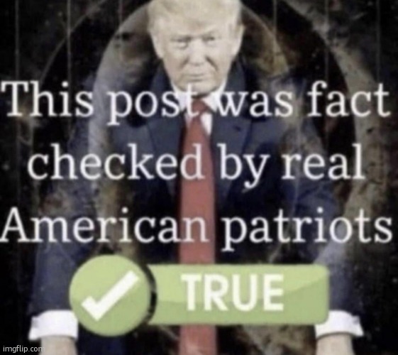 comment images 4 | image tagged in this post was fact checked by real american patriots | made w/ Imgflip meme maker
