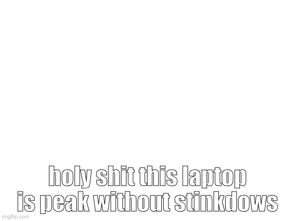 bro ts is OVERPREFORMING for its price | holy shit this laptop is peak without stinkdows | made w/ Imgflip meme maker