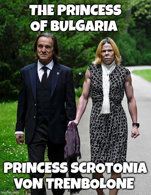 Princess of Bulgaria meme | THE PRINCESS OF BULGARIA; PRINCESS SCROTONIA VON TRENBOLONE | image tagged in steroids | made w/ Imgflip meme maker