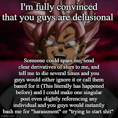 SSJR Black | I'm fully convinced that you guys are delusional; Someone could spam me, send clear derivatives of slurs to me, and tell me to die several times and you guys would either ignore it or call them based for it (This literally has happened before) and I could make one singular post even slightly referencing any individual and you guys would instantly bash me for "harassment" or "trying to start shit" | image tagged in ssjr black | made w/ Imgflip meme maker
