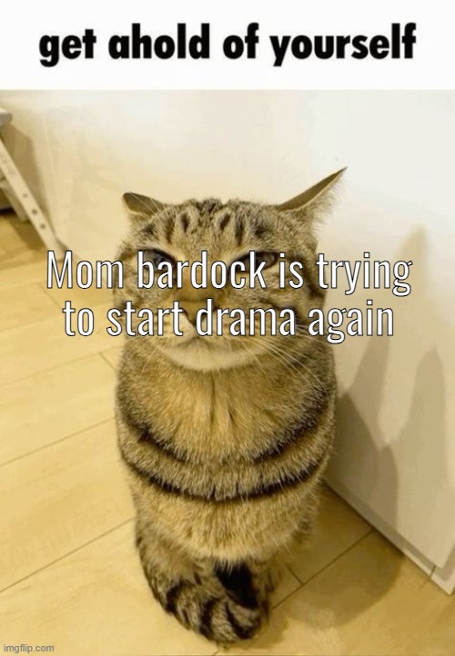 get ahold of yourself | Mom bardock is trying to start drama again | image tagged in get ahold of yourself | made w/ Imgflip meme maker
