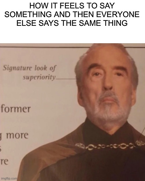 Signature Look of superiority | HOW IT FEELS TO SAY SOMETHING AND THEN EVERYONE ELSE SAYS THE SAME THING | image tagged in signature look of superiority | made w/ Imgflip meme maker