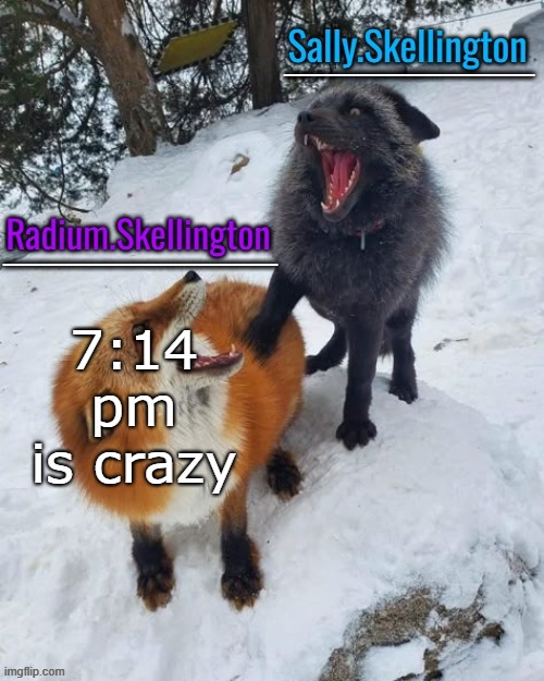 Radium and Sally temp | 7:14 pm is crazy | image tagged in radium and sally temp | made w/ Imgflip meme maker