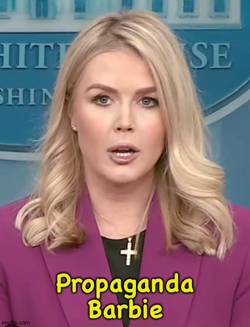 Shit-for-brains | Propaganda
Barbie | image tagged in karoline leavitt | made w/ Imgflip meme maker