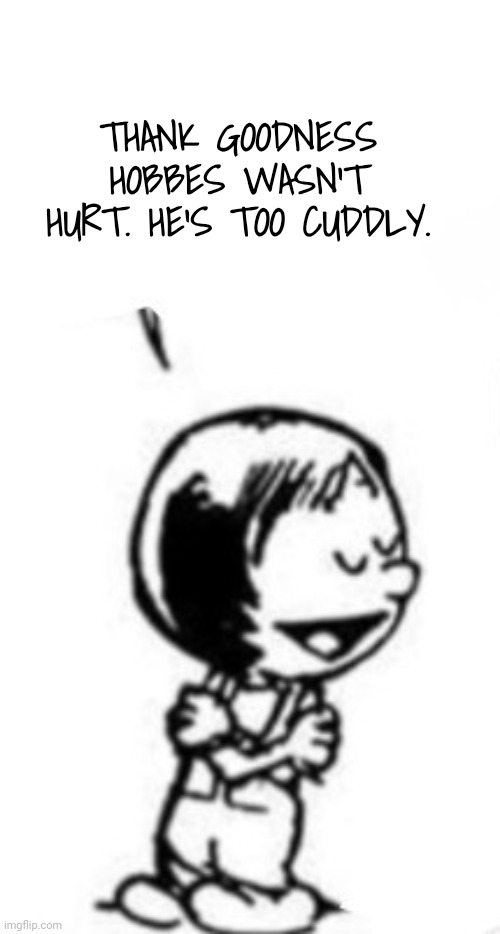 Susie commentary | THANK GOODNESS HOBBES WASN'T HURT. HE'S TOO CUDDLY. | image tagged in susie commentary | made w/ Imgflip meme maker
