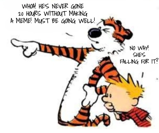 Whoa | WHOA! HE'S NEVER GONE 20 HOURS WITHOUT MAKING A MEME! MUST BE GOING WELL! NO WAY! SHE'S FALLING FOR IT? | image tagged in whoa | made w/ Imgflip meme maker