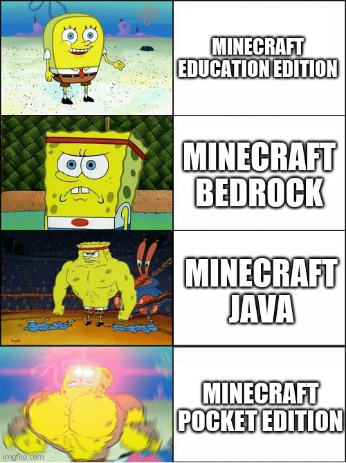 ermeherd meicreft | MINECRAFT EDUCATION EDITION; MINECRAFT BEDROCK; MINECRAFT JAVA; MINECRAFT POCKET EDITION | image tagged in sponge finna commit muder | made w/ Imgflip meme maker