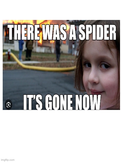 no, i did not make this | image tagged in disaster girl | made w/ Imgflip meme maker