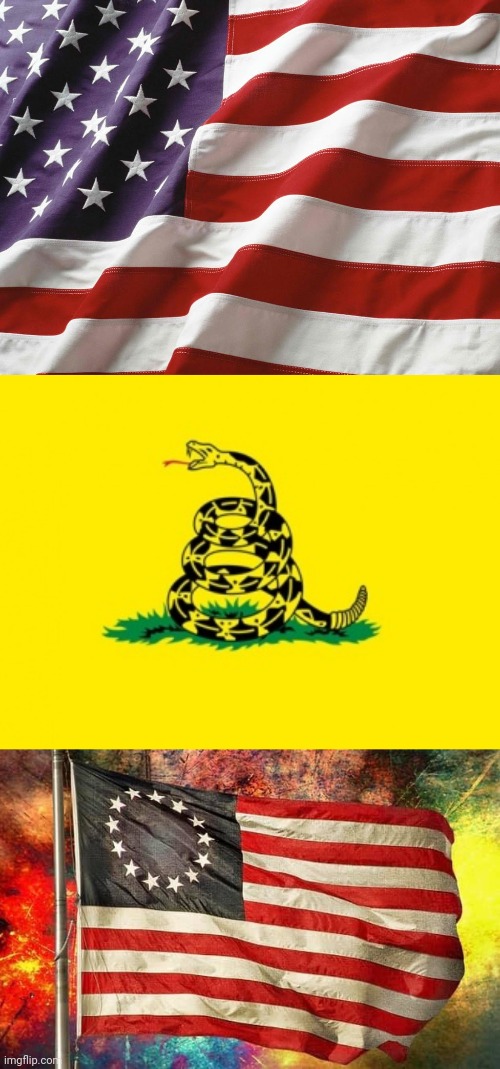 Look At Our Beautiful Poles | image tagged in american flag,gadsden flag,betsy ross flag,white house | made w/ Imgflip meme maker
