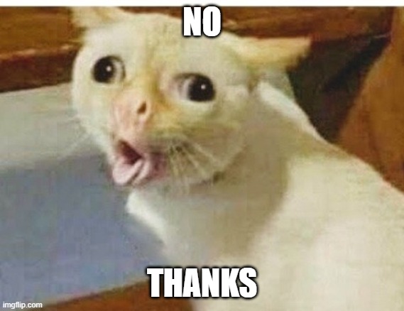 Cat vomiting lol | NO THANKS | image tagged in cat vomiting lol | made w/ Imgflip meme maker