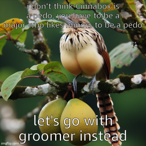 a bird on the twig of a tree with huge testicles | i don't think Cinnabox is a pedo, you have to be a major who likes minors to be a pedo; let's go with groomer instead | image tagged in a bird on the twig of a tree with huge testicles | made w/ Imgflip meme maker