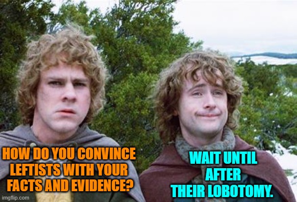 Harsh . . . but possibly true. | WAIT UNTIL AFTER THEIR LOBOTOMY. HOW DO YOU CONVINCE LEFTISTS WITH YOUR  FACTS AND EVIDENCE? | image tagged in yep | made w/ Imgflip meme maker