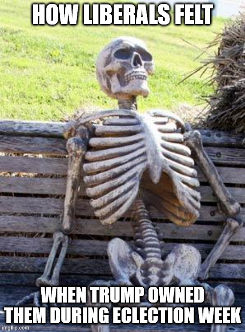 Waiting Skeleton | HOW LIBERALS FELT; WHEN TRUMP OWNED THEM DURING ECLECTION WEEK | image tagged in memes,waiting skeleton | made w/ Imgflip meme maker
