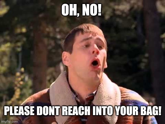 Dumb and Dumber Gagging | OH, NO! PLEASE DONT REACH INTO YOUR BAG! | image tagged in dumb and dumber gagging | made w/ Imgflip meme maker