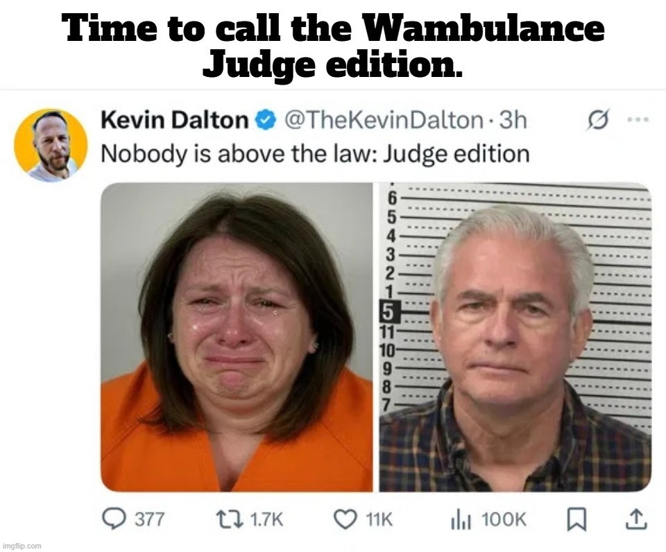 Time to call the Wambulance. Judge edition. | image tagged in wambulance,sjw triggered,stupid people be like,crying democrats,crying liberal,shitpost | made w/ Imgflip meme maker