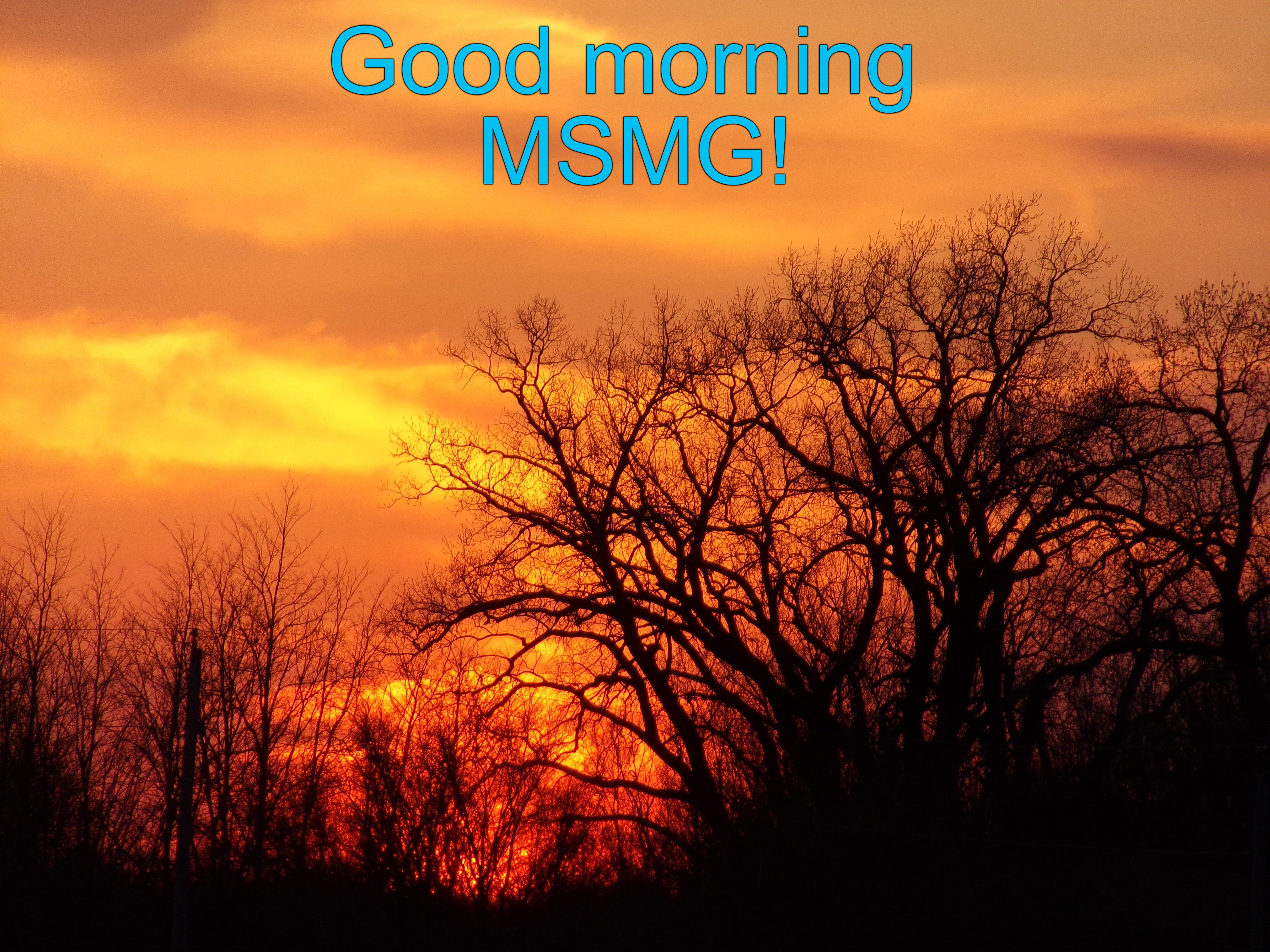 good morning msmg! | Good morning 
MSMG! | image tagged in morning,kewlew | made w/ Imgflip meme maker