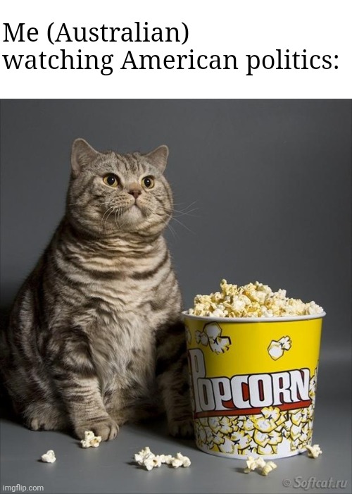 Cat eating popcorn | Me (Australian) watching American politics: | image tagged in cat eating popcorn | made w/ Imgflip meme maker