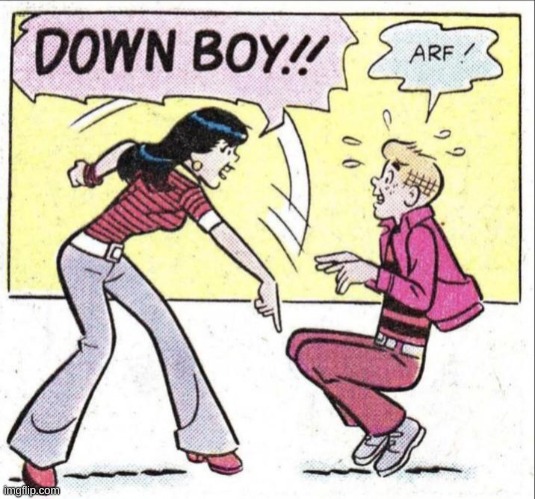 Down Boy!! Arf! | image tagged in down boy arf | made w/ Imgflip meme maker