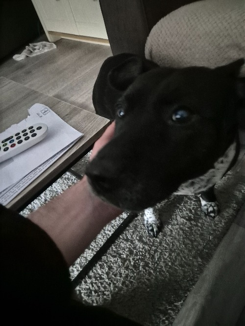 Look at this cute little fucker | made w/ Imgflip meme maker