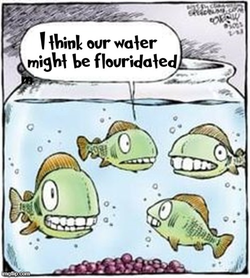 School of Fish got bad grades. They were below sea level. | image tagged in vince vance,piranha,fish,cartoon,teeth,fluoride | made w/ Imgflip meme maker