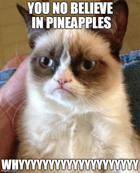 Grumpy Cat | YOU NO BELIEVE IN PINEAPPLES WHYYYYYYYYYYYYYYYYYYYY | image tagged in memes,grumpy cat | made w/ Imgflip meme maker