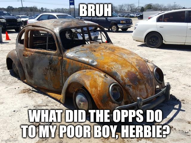No actual Herbies were harmed in the making of this meme | BRUH; WHAT DID THE OPPS DO TO MY POOR BOY, HERBIE? | image tagged in herbie,the love bug,volkswagen | made w/ Imgflip meme maker