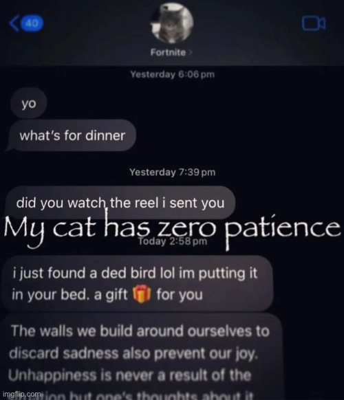Cat | made w/ Imgflip meme maker