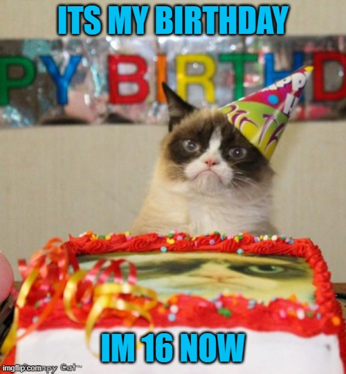 im old | ITS MY BIRTHDAY; IM 16 NOW | image tagged in memes,funny,happy birthday,birthday,grumpy cat birthday | made w/ Imgflip meme maker