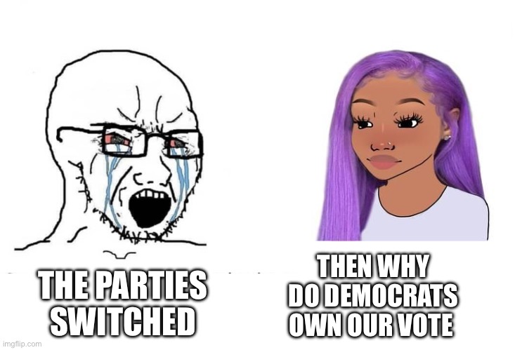 Modern day slavery | THE PARTIES SWITCHED; THEN WHY DO DEMOCRATS OWN OUR VOTE | image tagged in soyboy vs yes chad,controversial,maga | made w/ Imgflip meme maker