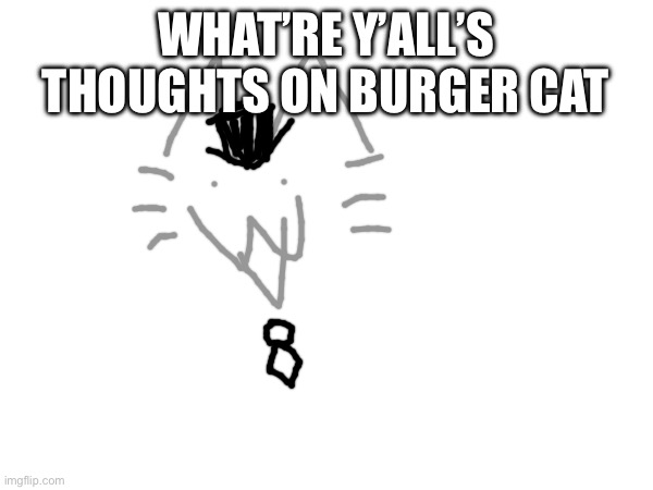 WHAT’RE Y’ALL’S THOUGHTS ON BURGER CAT | made w/ Imgflip meme maker