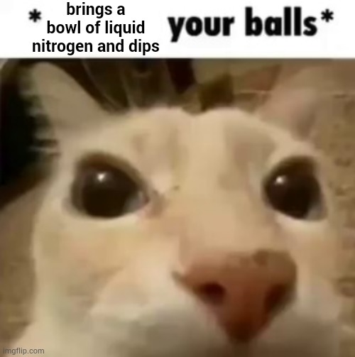 loneg | brings a bowl of liquid nitrogen and dips | image tagged in x your balls | made w/ Imgflip meme maker