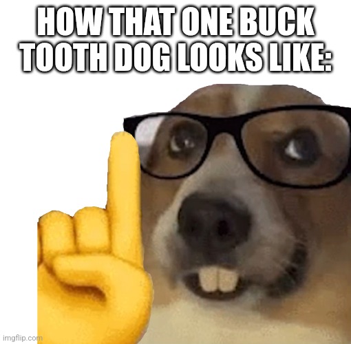 Actually dog | HOW THAT ONE BUCK TOOTH DOG LOOKS LIKE: | image tagged in actually dog | made w/ Imgflip meme maker